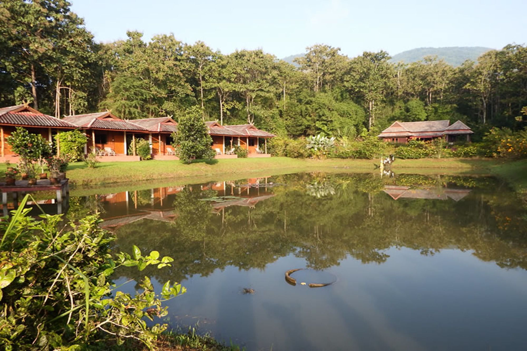 Noks Garden Resort Chiang Rai Buitenkant foto