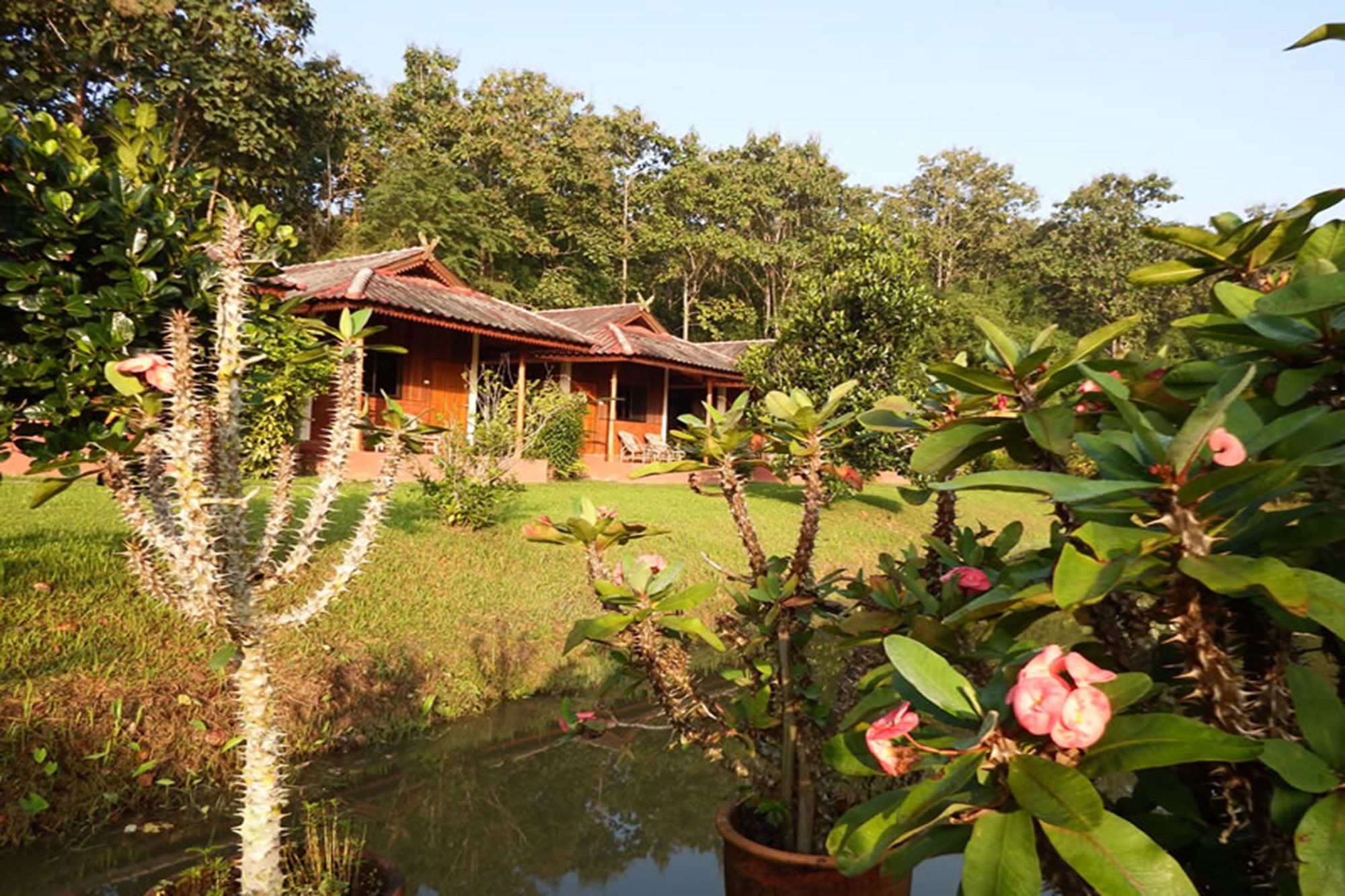 Noks Garden Resort Chiang Rai Buitenkant foto